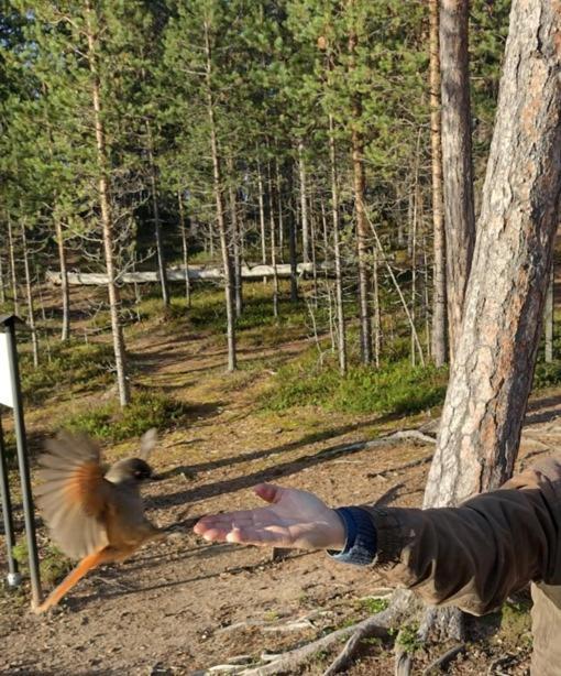 Villa Lusma Inari Kültér fotó