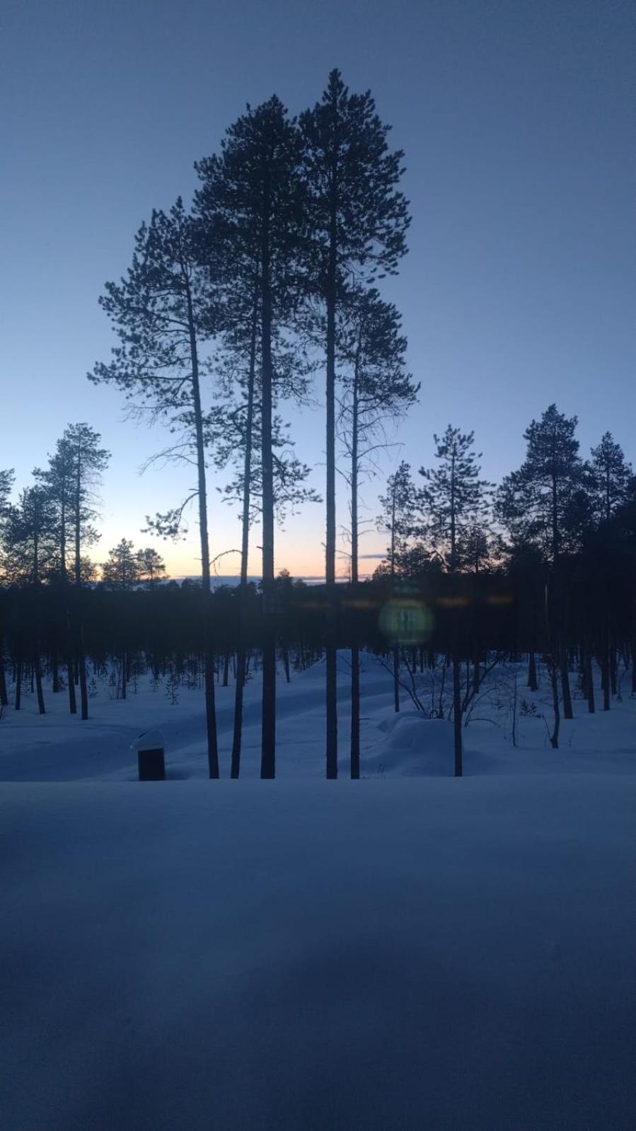 Villa Lusma Inari Kültér fotó